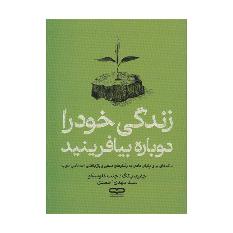 کتاب زندگی خود را دوباره بیافرینید اثر جفری یانگ و جنت کلوسکو ترجمه سید مهدی احمدی انتشارات یارنیک R6Y
