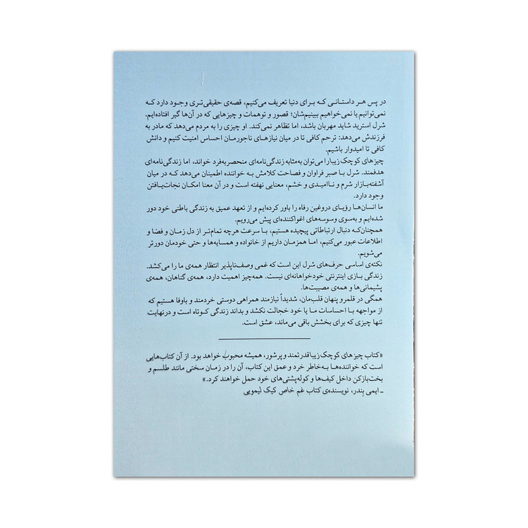 کتاب چیزهای کوچک زیبا اثر شرل استرید ترجمه هما قناد نشر میلکان WS5