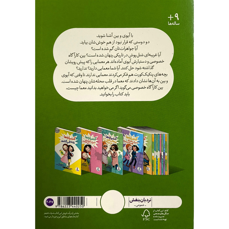 کتاب آیوی و بین آتشپاره ها کارآگاه می شوند اثر آنی باروز ترجمه آویشن امین صالحی انتشارات فنی ایران JTS