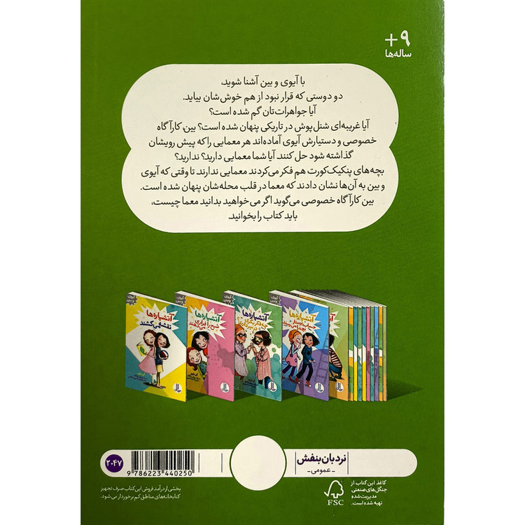 کتاب آیوی و بین آتشپاره ها کارآگاه می شوند اثر آنی باروز ترجمه آویشن امین صالحی انتشارات فنی ایران JTS