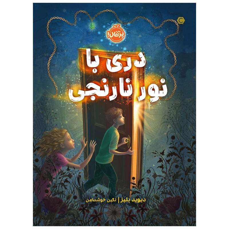 کتاب دری با نور نارنجی اثر دیوید بلیز انتشارات پرتقال 2UN