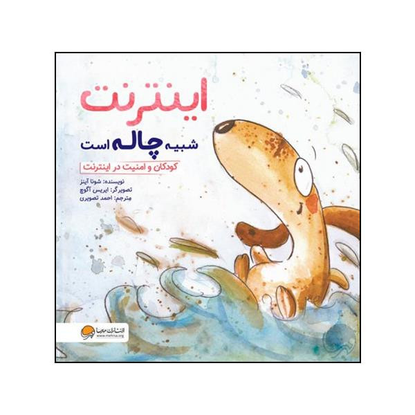 کتاب اینترنت شبیه چاله است اثر شونا آینز نشر مهرسا 2UN