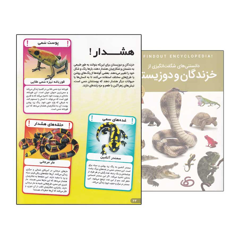 کتاب دانستنی های شگفت انگیزی از خزندگان و دوزیستان اثر کریس ماتیسون انتشارات اعتلای وطن C2C