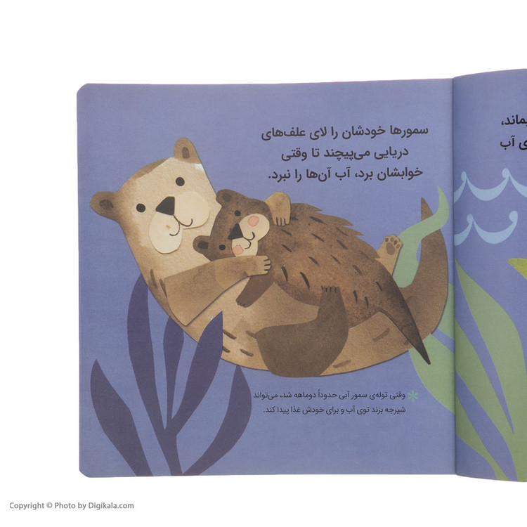 کتاب بچه های حیوانات اثر جیل مک دونالد انتشارات پرتقال SUD
