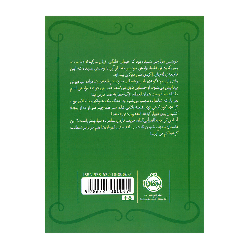 کتاب شاهزاده سیاه پوش دردسر گربه ای اثر شنون هیل و دین هیل ترجمه شیدا رنجبر انتشارات پرتقال F5S
