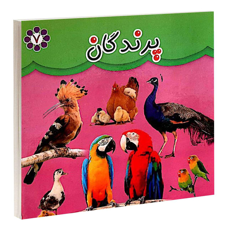 کتاب پرندگان اثر مهرناز علاءالدینی انتشارات گوهراندیشه JFE
