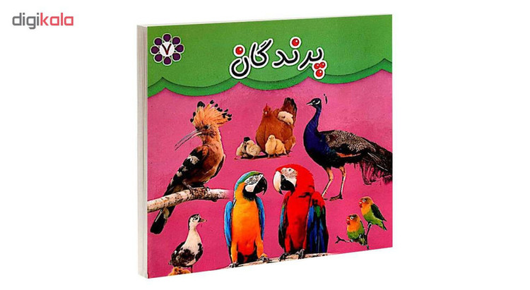 کتاب پرندگان اثر مهرناز علاءالدینی انتشارات گوهراندیشه JFE