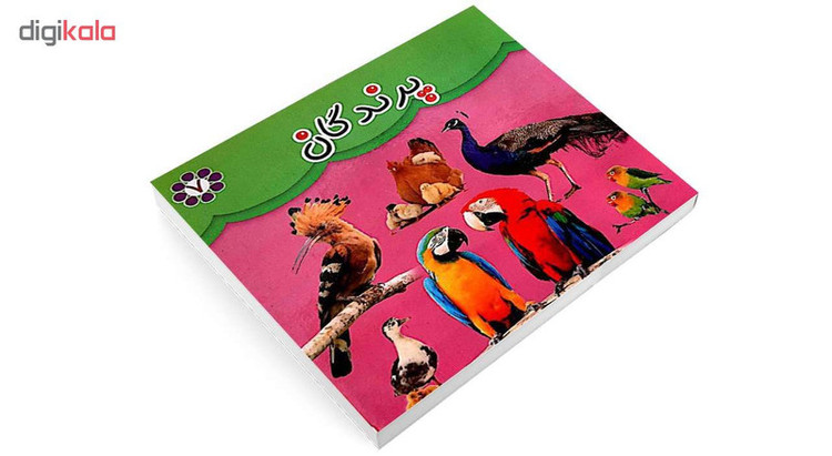 کتاب پرندگان اثر مهرناز علاءالدینی انتشارات گوهراندیشه JFE