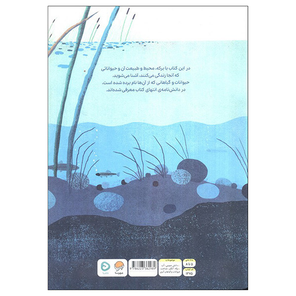 کتاب بالا روی آب پایین توی آب اثر کیت مسنر ترجمه سارا سلیمی نشر مهرسا D7F
