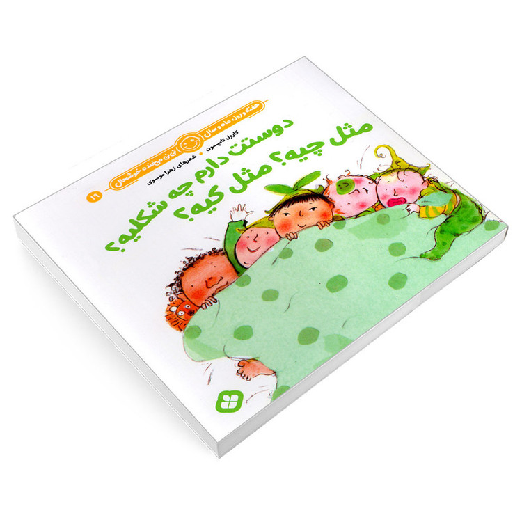 کتاب دوستت دارم چه شکلیه؟ مثل چیه؟ مثل کیه؟ اثر زهرا موسوی و کارول تامپسون انتشارات پنجره D7F