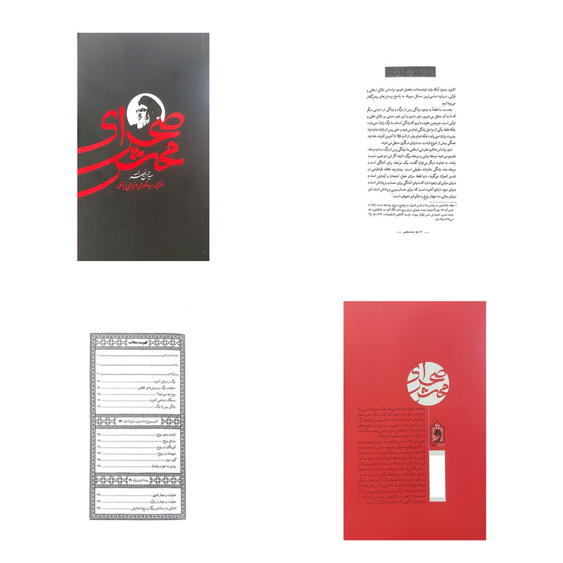 کتاب صحرای محشر اثر سید حسن نصرالله ترجمه سید مهدی وزیری یزدی انتشارات واژه پرداز اندیشه AGR