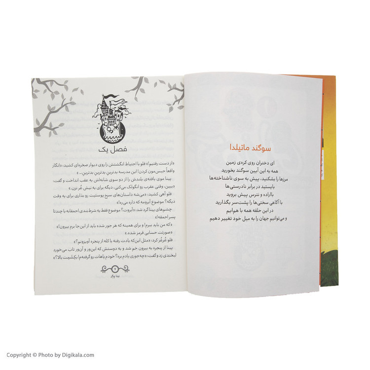 کتاب آدم ربایی در مدرسه شبانه روزی اثر نینا وگر نشر چشمه RYR