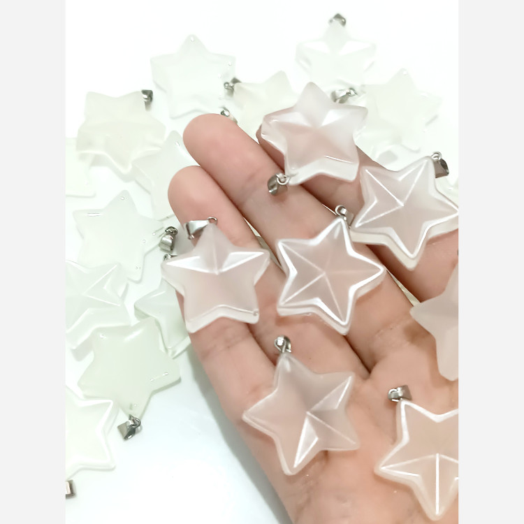 آویز گردنبند ستاره شب نما