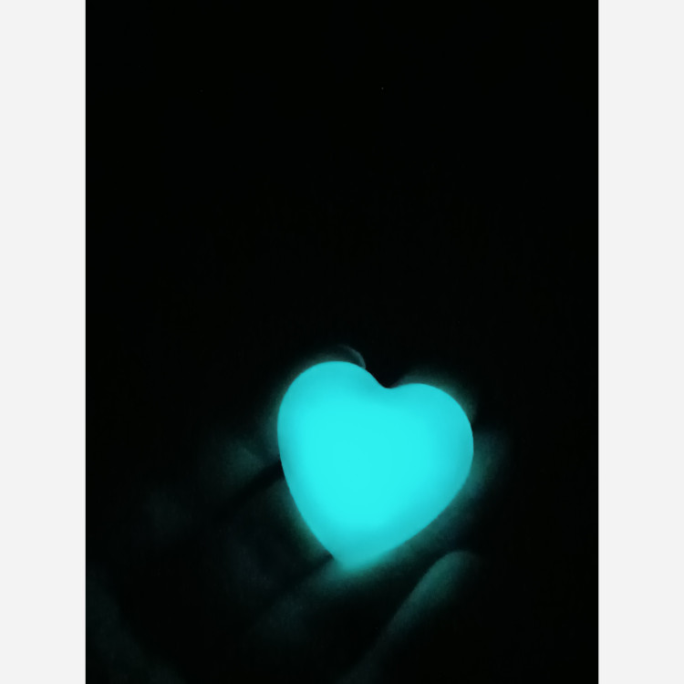 گردنبند زنانه قلب شب نما پینترستی مدرن